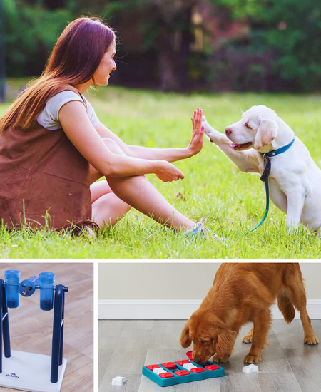 Upgrade Your Dog's Playtime With These Mentally Stimulating Dog Toys