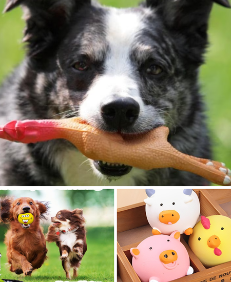 Discover More Fun with the Best Squeaky Toys for Dogs