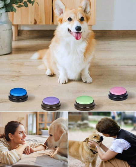Revolutionize Your Dog's Training with These Talking Buttons For Dogs