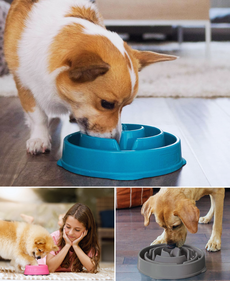 Say goodbye To Mealtime Mess With The Revolutionary Slow Feeder Dog Bowl