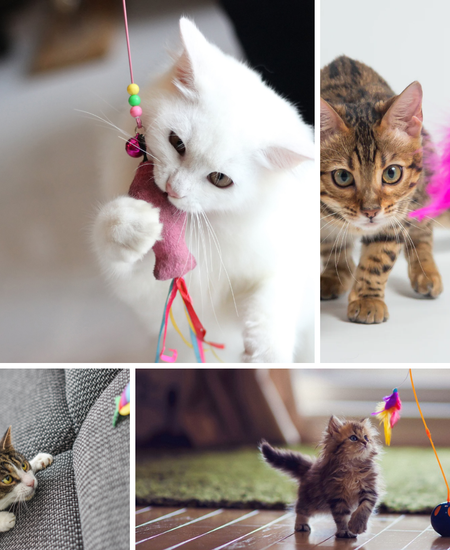 Bored No More: Best Cat Toys For Bored Cats That Will Keep Them Engaged All Day