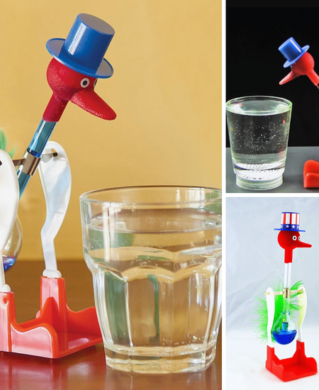 Sip, Sip, Hooray! Discover The Best Drinking Bird Toy on the Market